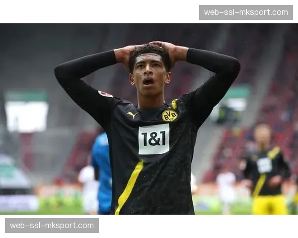 某数据公司成为德甲官方合作伙伴，将提供更深入的控球质量分析